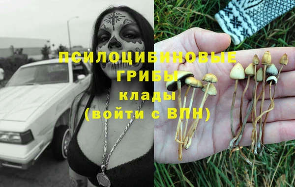 эйфоретик Богородск