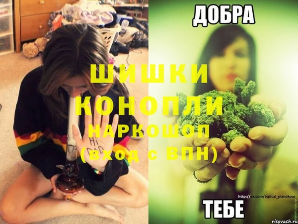индика Покров