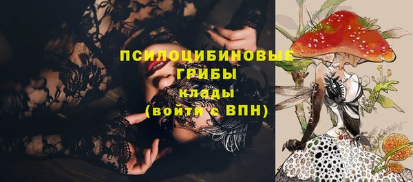 эйфоретик Богородск