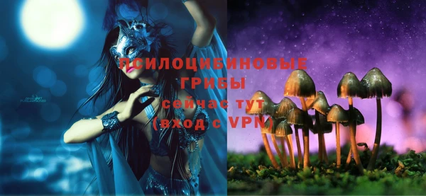 наркотики Белокуриха